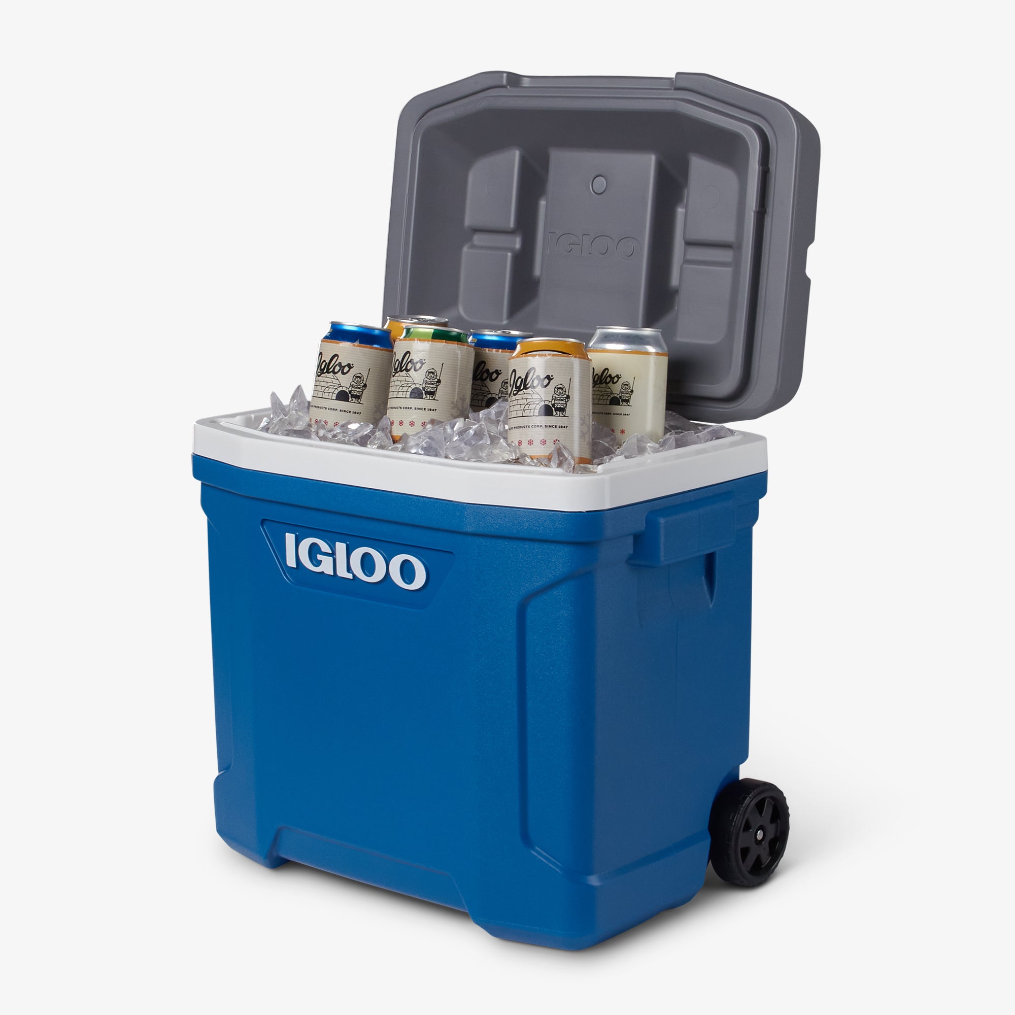 00034739-P1.jpg